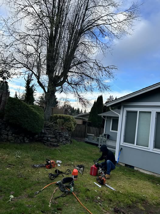 northwesttreeserviceshardscaping